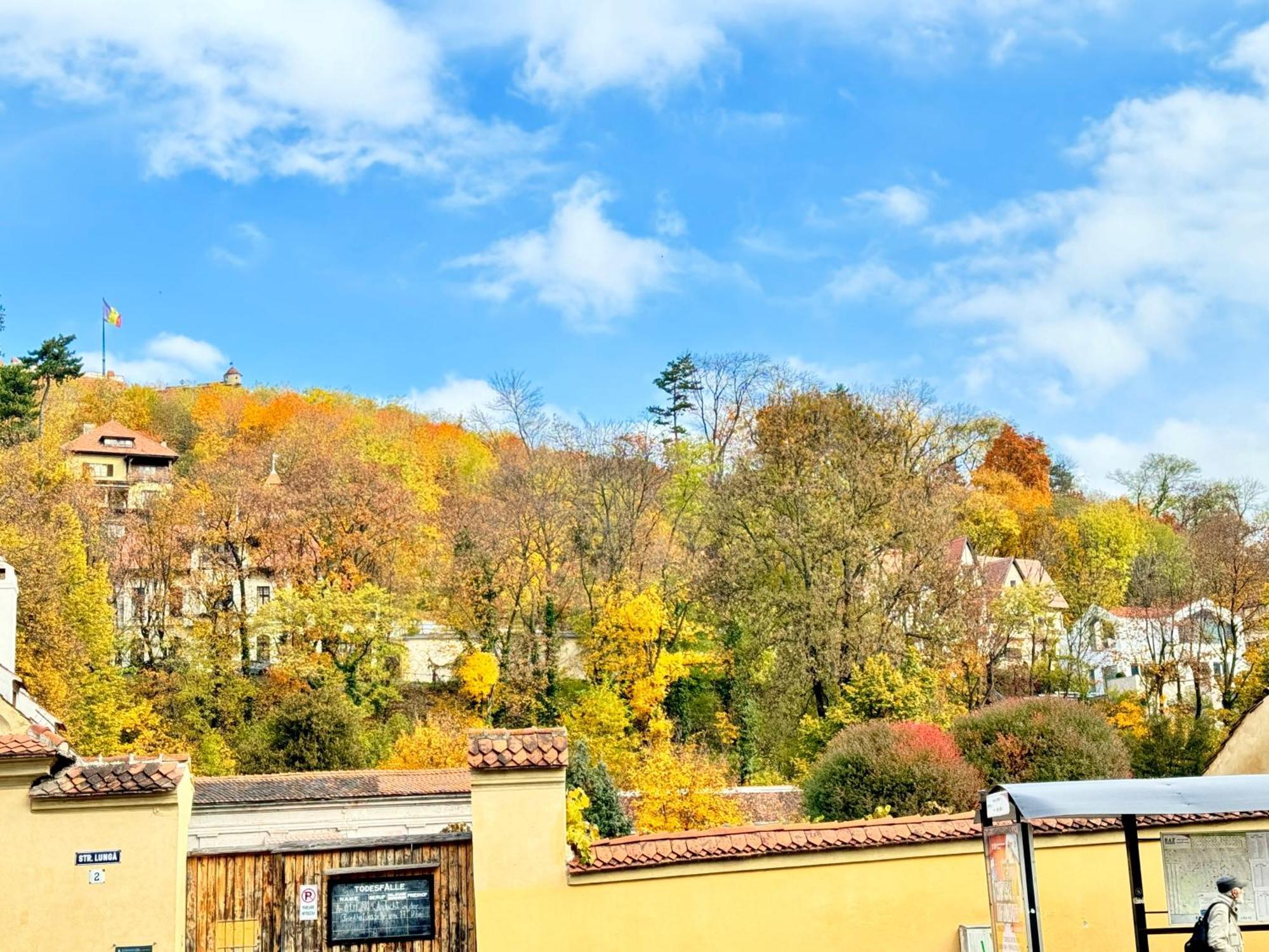 Casa Ming Villa บราชอฟ ภายนอก รูปภาพ